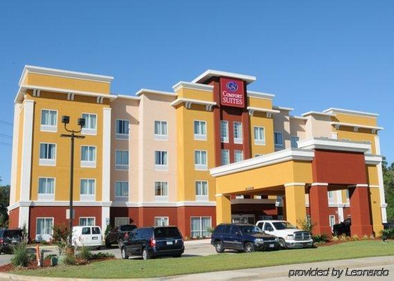 Comfort Suites Near Tanger Outlet Mall Gonzales Exteriör bild